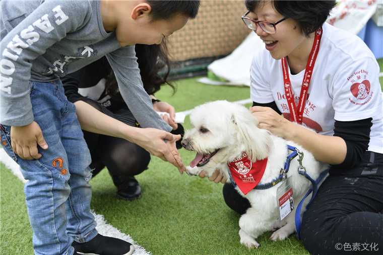 亚洲动物基金(AAF)“狗医生”一众可爱狗狗，探访星智特殊儿童中心